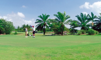 Port Douglas golf